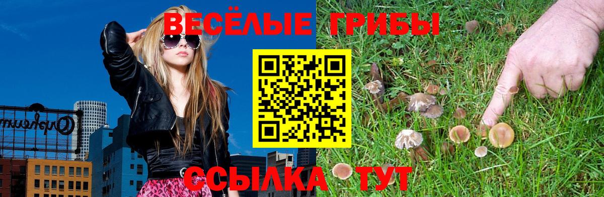 Геленджик  где купить наркоту  Вход с VPN  Псилоцибиновые грибы прущие грибы  Галлюциногенные грибы MAGIC MUSHROOMS 